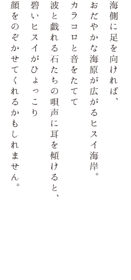 海側に足を向ければ、おだやかな海原が広がるヒスイ海岸。カラコロと音をたてて波と戯れる石たちの唄声に耳を傾けると、碧いヒスイがひょっこり顔をのぞかせてくれるかもしれません。