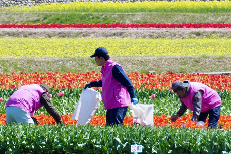 朝日町　春の四重奏