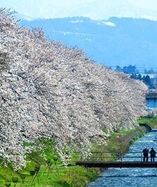 朝日町の観光名所