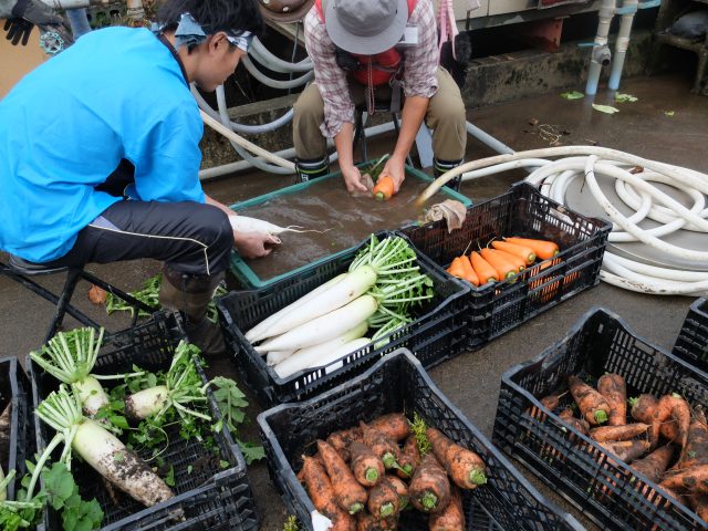 クリーンみず穂