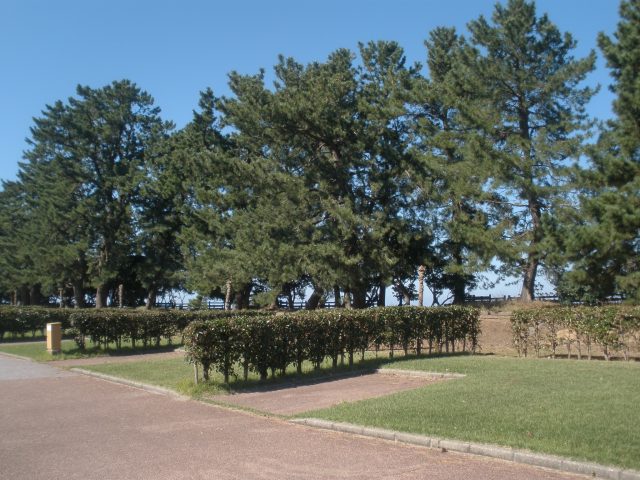 ヒスイ海岸オートキャンプ場