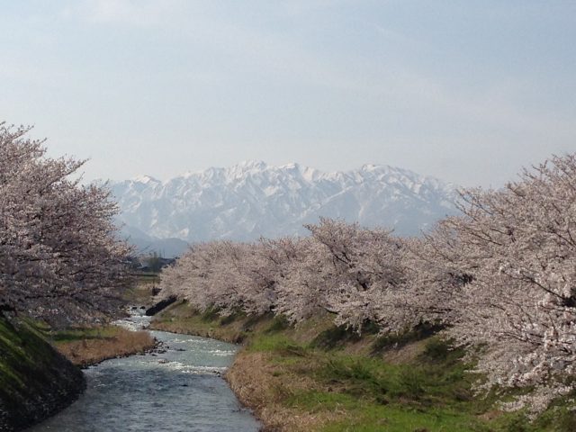 僧ヶ岳・駒ヶ岳ポイント