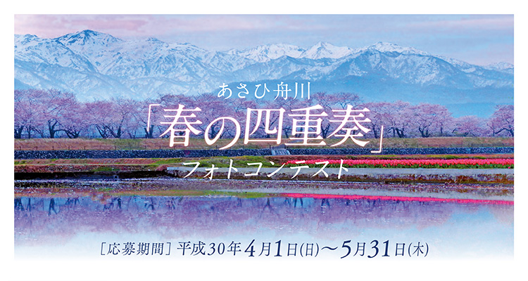 あさひ舟川「春の四重奏」フォトコンテスト2018