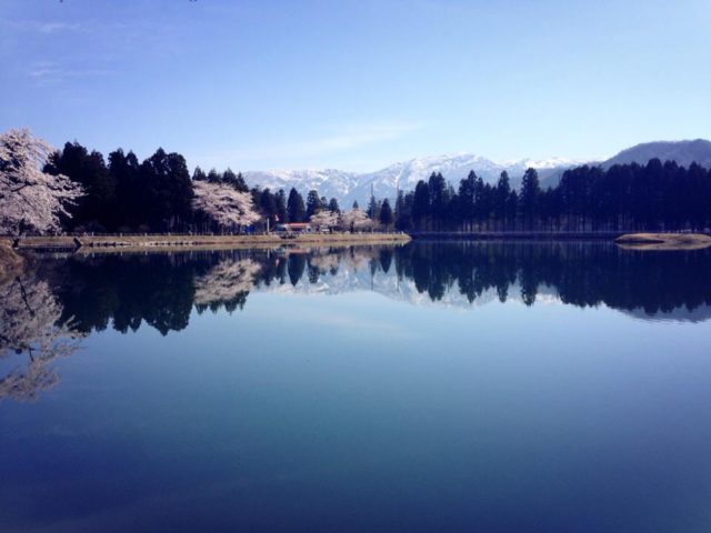 棚山ファミリーランド