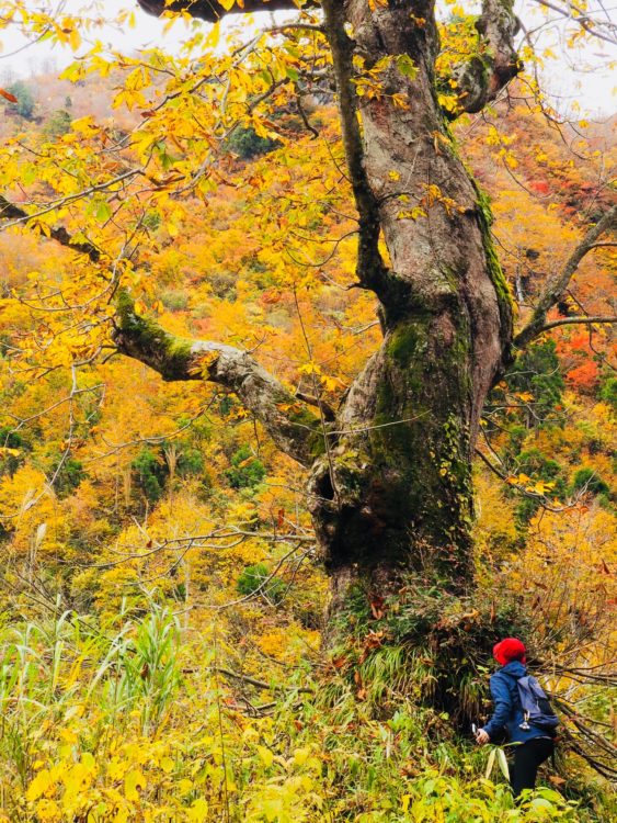 秘境の北又散策