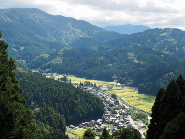 城山からの笹川の眺め