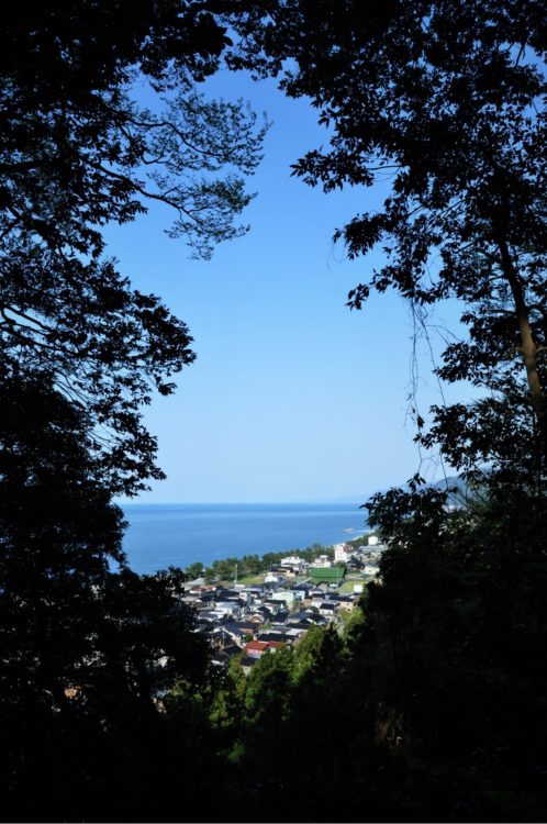 鹿島樹叢からの覗き