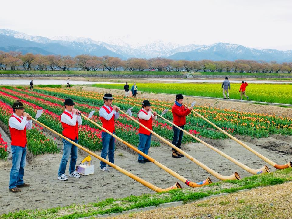 あさひ舟川「春の四重奏」