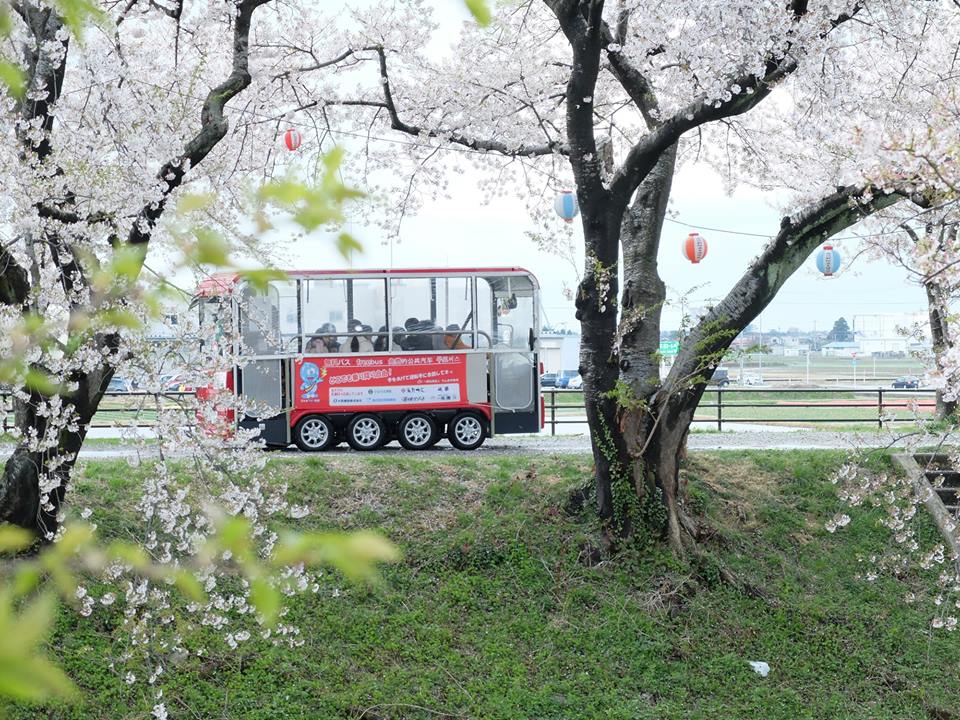 あさひ舟川「春の四重奏」