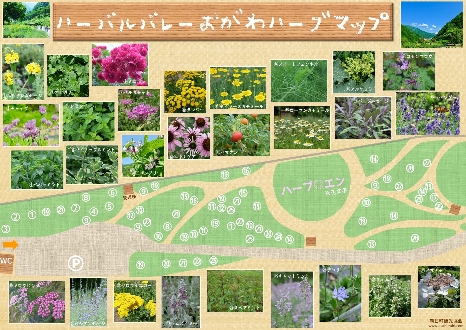 ハーブ園散策MAP