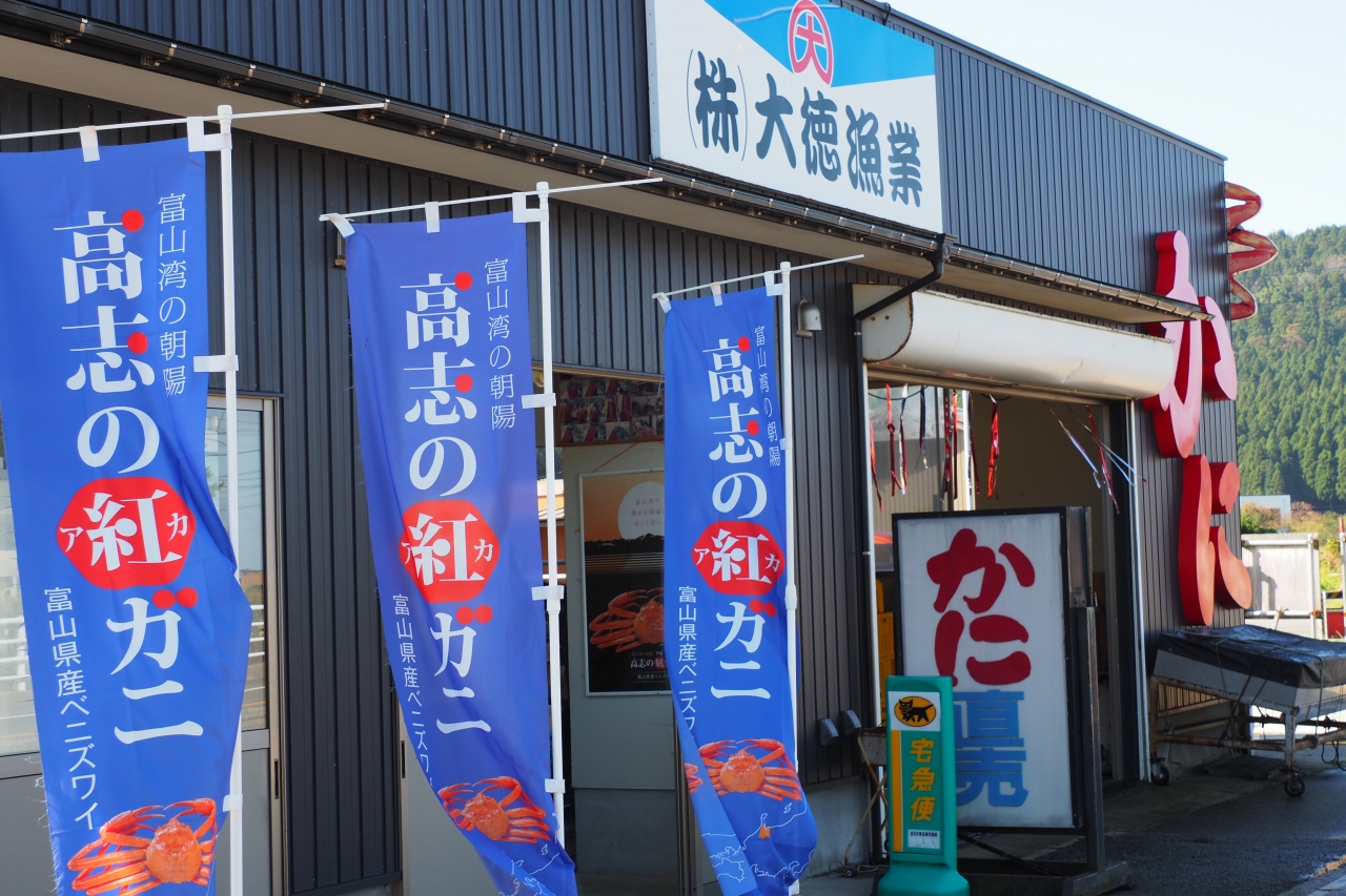 富山湾蟹 漁港直送 浜湯で即冷凍 20杯 - www.fontec.co.jp