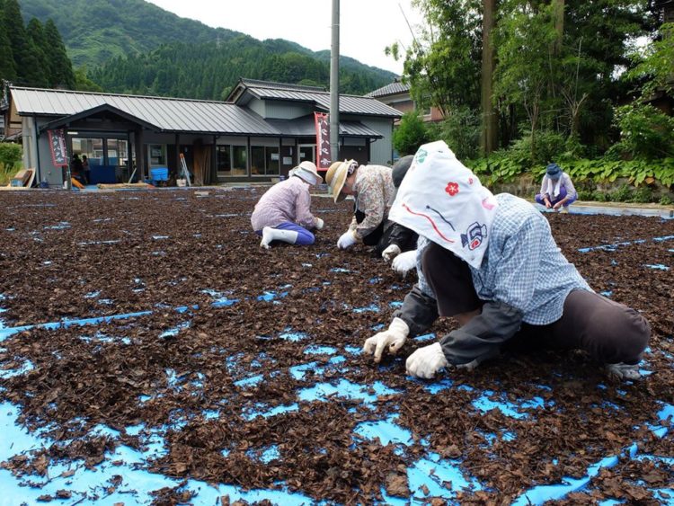 バタバタ茶