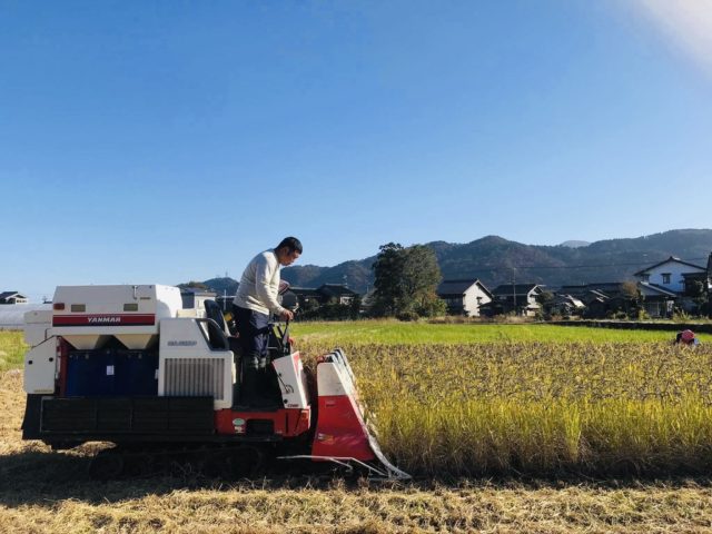 株式会社いただきます