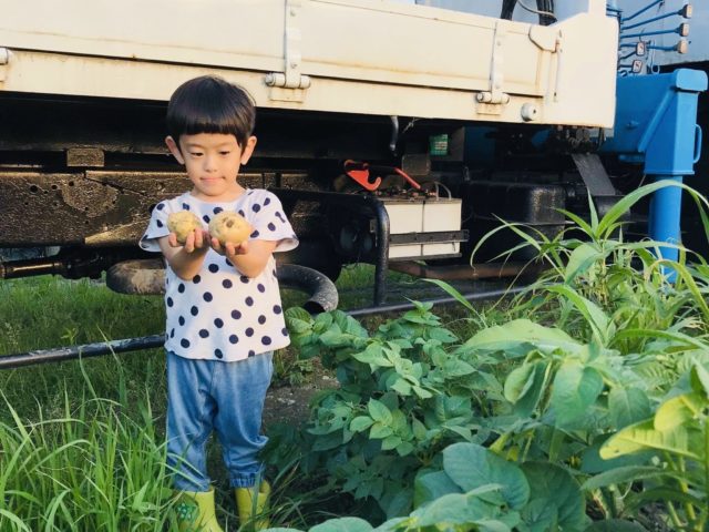 株式会社いただきます