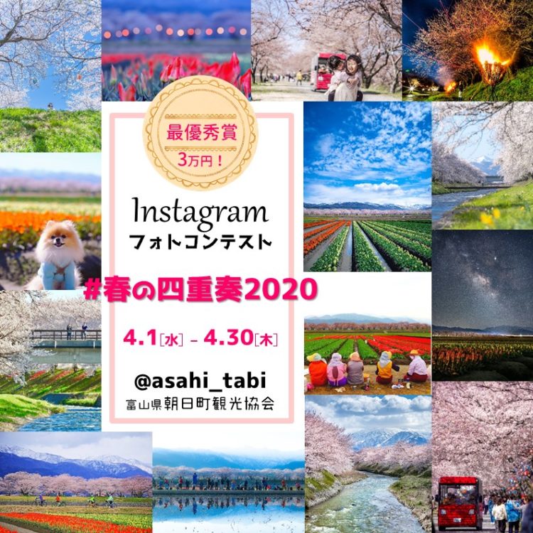 #春の四重奏2020Instagramフォトコンテスト