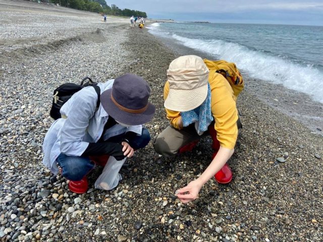 ヒスイ海岸で名人と宝ものさがし＆ソウルフードタラ汁づくり体験