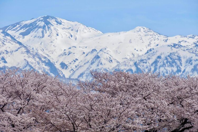 朝日岳