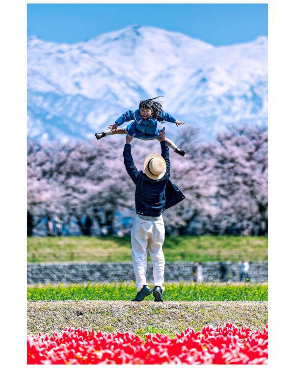 あさひ舟川「春の四重奏」 | あさひ暮らし旅〈朝日町観光協会 公式